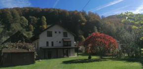 Casa de vacanță Edya